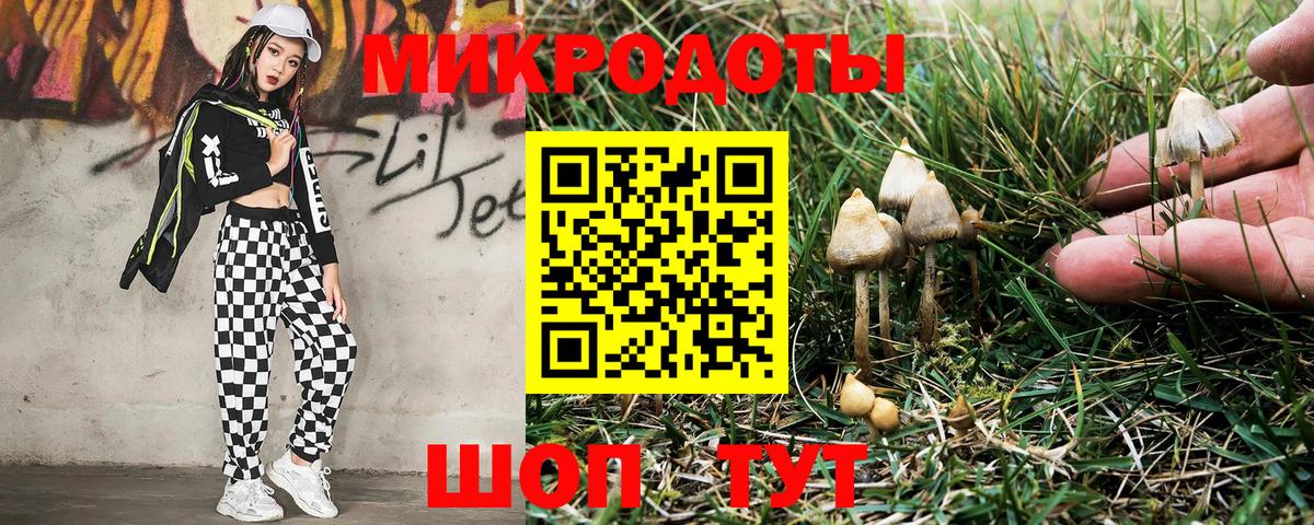 даркнет сайт  Вход с VPN  Йошкар-Ола  Псилоцибиновые грибы мицелий 